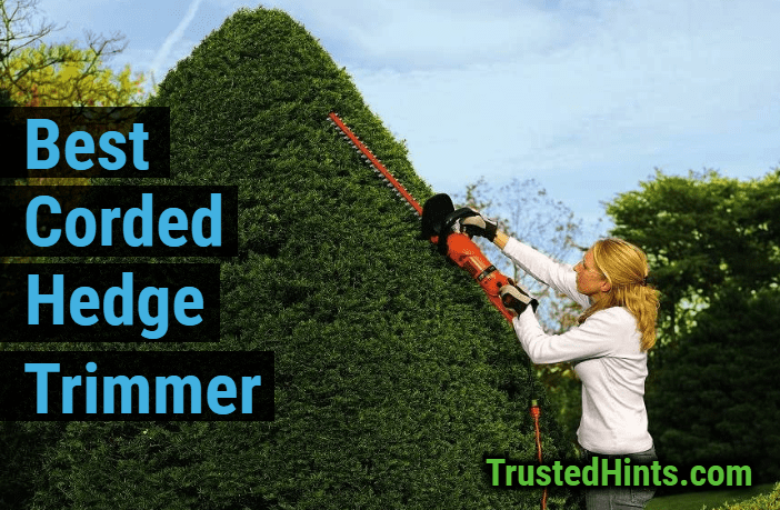 best corded electric hedge trimmer 2020